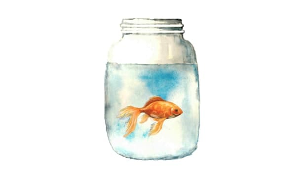 Article cover image