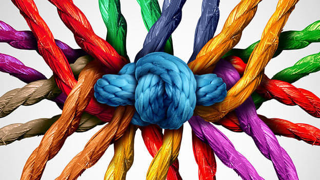 800 CEOs come together for advancement of diversity & inclusion at the workplace