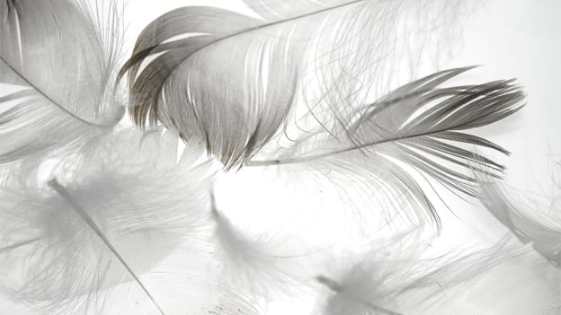 Article cover image