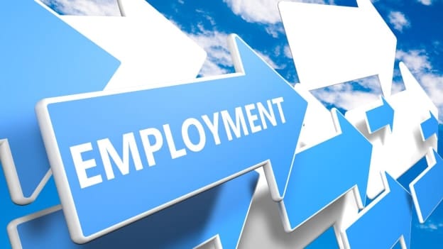 Jobs for all