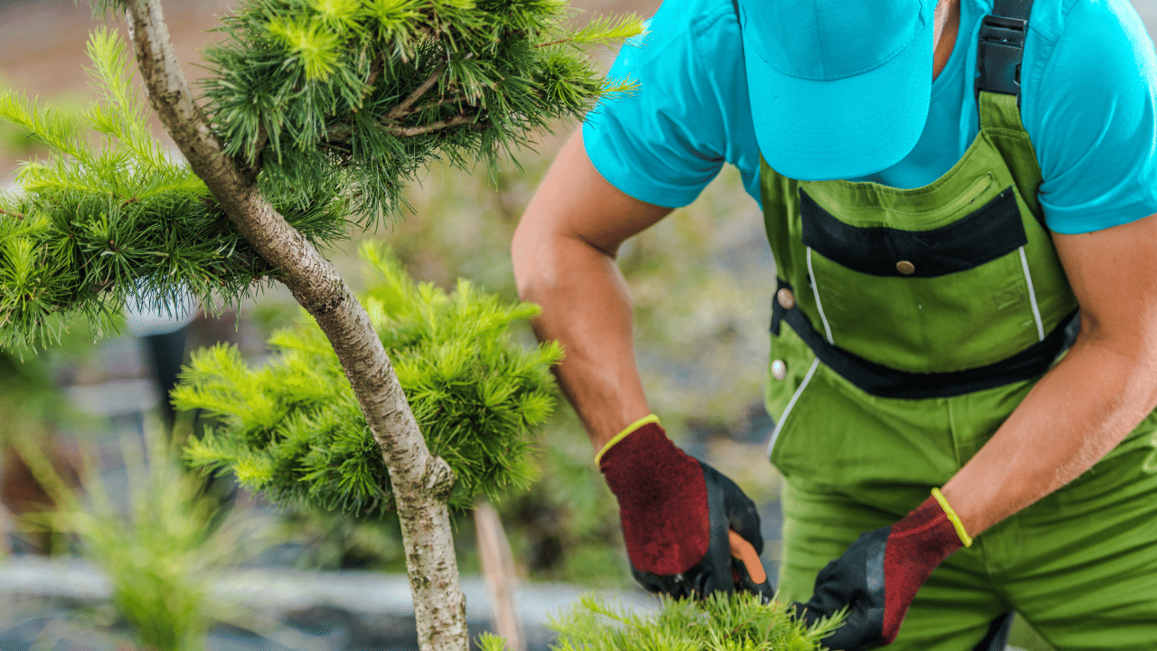 Study questions whether green jobs are truly ‘good jobs’