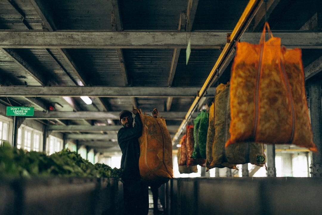 Thailand seeks new sources of workers after Cambodian exodus