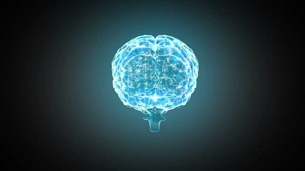 An avatar to assess digital fluency