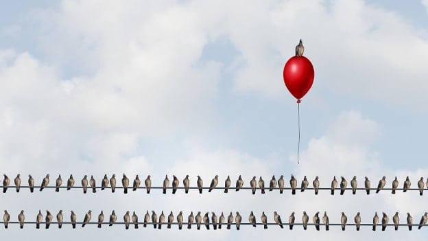 Social entrepreneurship: Can it curb unemployment?