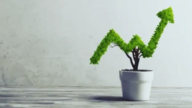 Talent mobility startup BorderPlus raises $7 million in its first funding