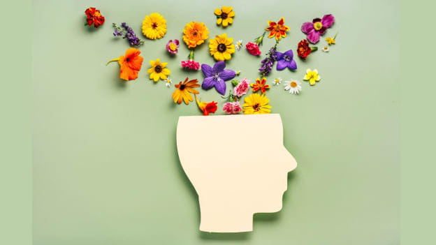 Article cover image