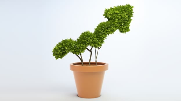 Article cover image