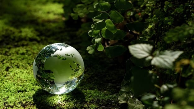 ESG talent trends: Hiring for the green economy amid backlash
