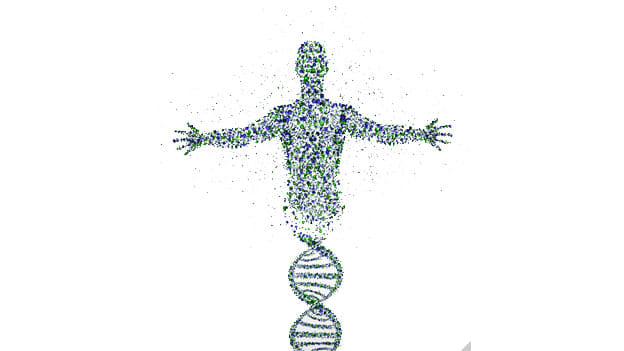 Mapping the DNA of a successful CEO: CEO Genome Project