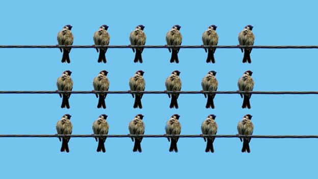 Article cover image
