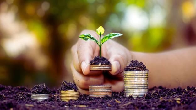 Deciding between global or local partner for financial wellbeing programs