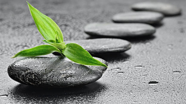 Health and wellness as an integral R&R component
