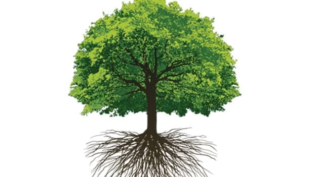 Article cover image