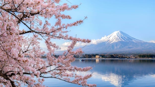 Building brains, building nations: Japanese scholarships for Filipino government workers