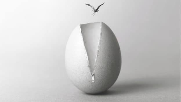 Article cover image
