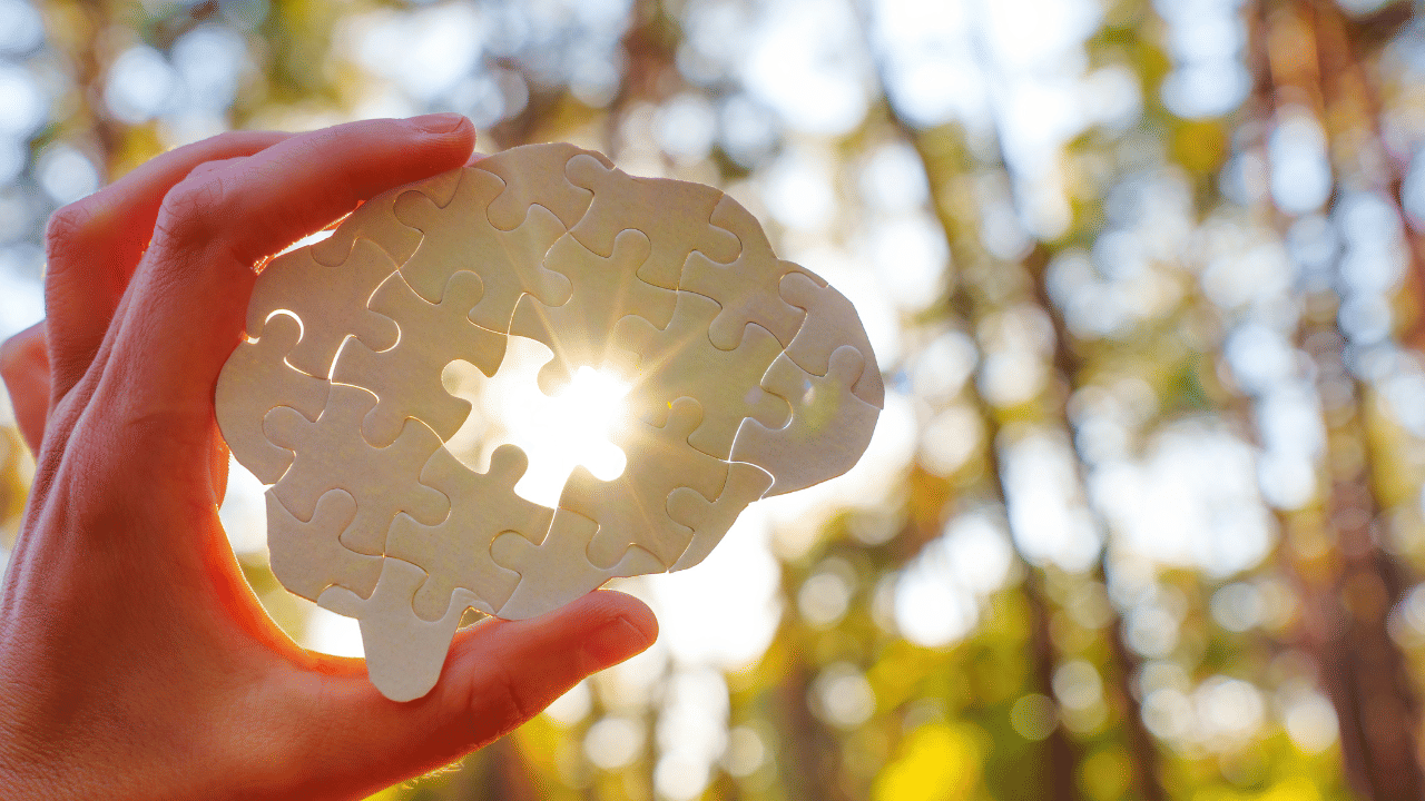 The puzzle of perceptions – How narratives get framed (and reframed) about individuals in organisations