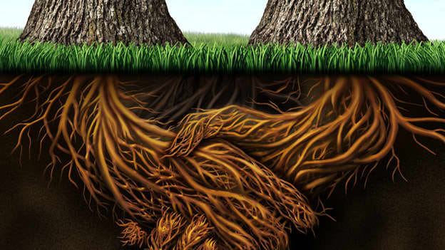 Article cover image