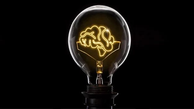 Neuroscience – The real driver of organizational growth