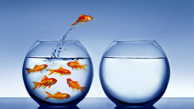 Tips to handle a smooth attrition process