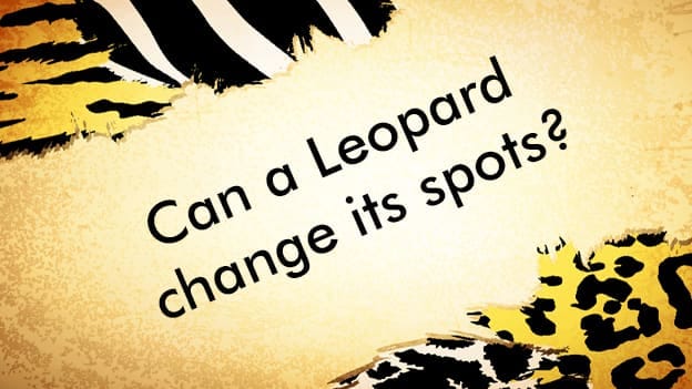 Article cover image