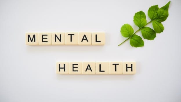 Tele Mental Health Programme will remove stigma, make help more accessible to masses