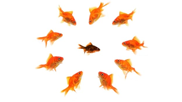 Back off, bully! How to stand up to office bullying