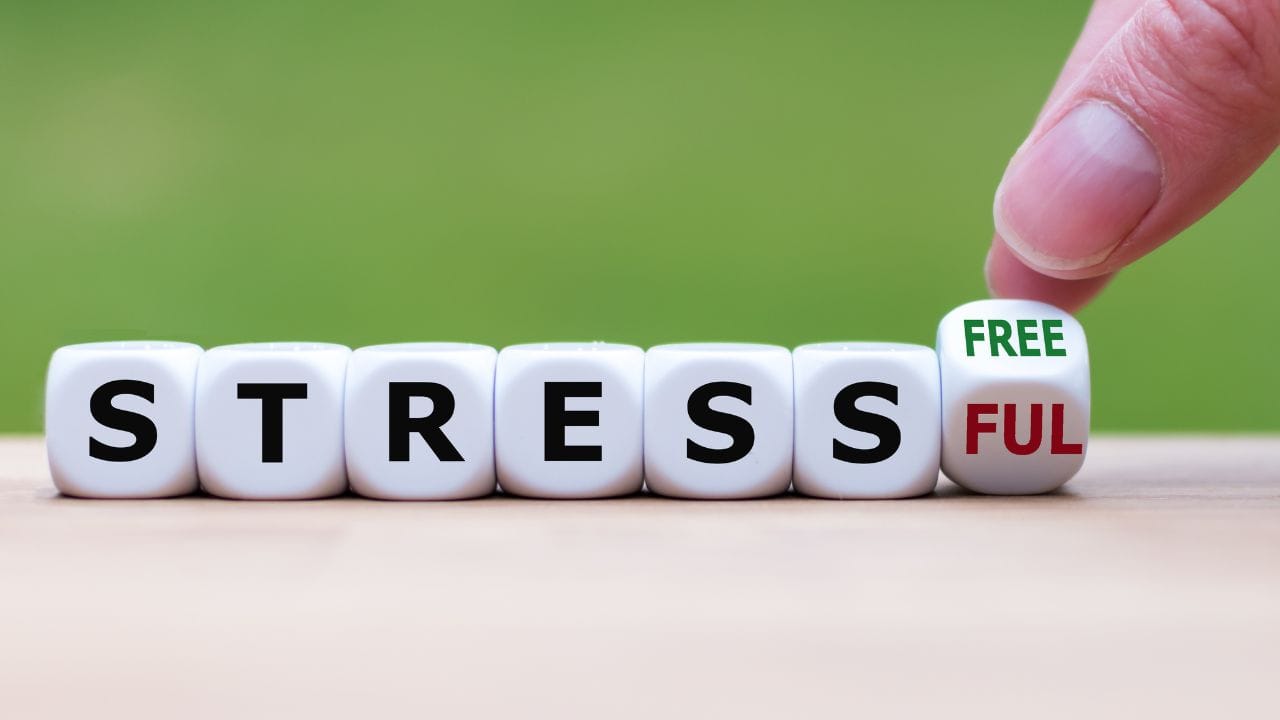 The sleepy cortisol spindle: How stress turns recognition to dust