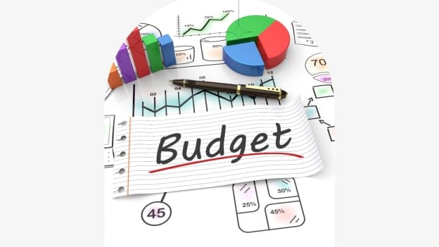 Economists weigh in on the impact of Budget 2024