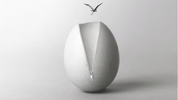 Article cover image