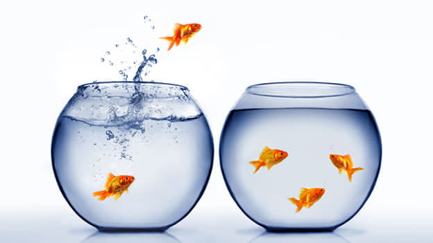 Here's how technology can support talent mobility