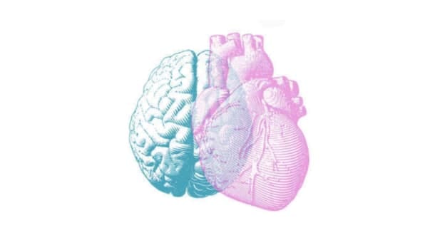 Why emotional intelligence is key to a successful career