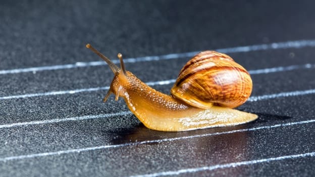 Article cover image