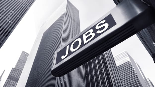 What's shaping jobs roles in 2025: A WEF report
