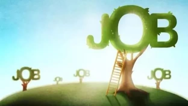 Organized sector creates 1.36 lakh jobs in 3 months