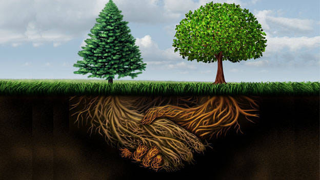 How to overcome the obstacles to a smooth handover process