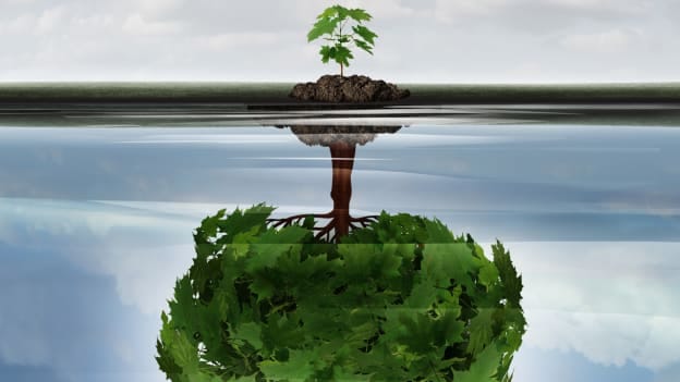 Article cover image
