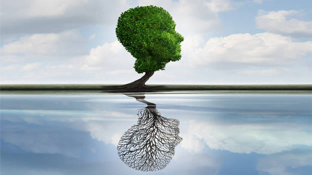 Article cover image