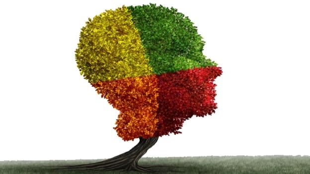 Article cover image