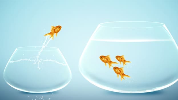 Three simple actions to involve women in the workforce