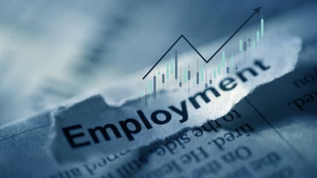 Talent mobility and employment surge across GCC public and private sectors; Here’s the data