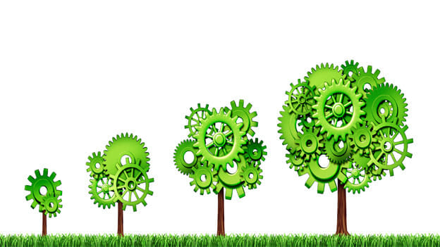 Today’s growth mantra: how you do little things is how you will do big things