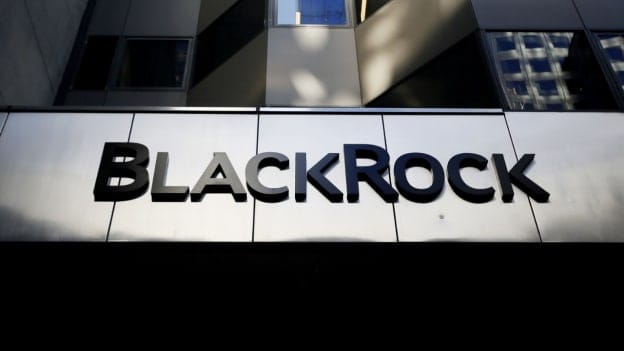 BlackRock layoffs begin in 2025 after adding 3,700 staff last year