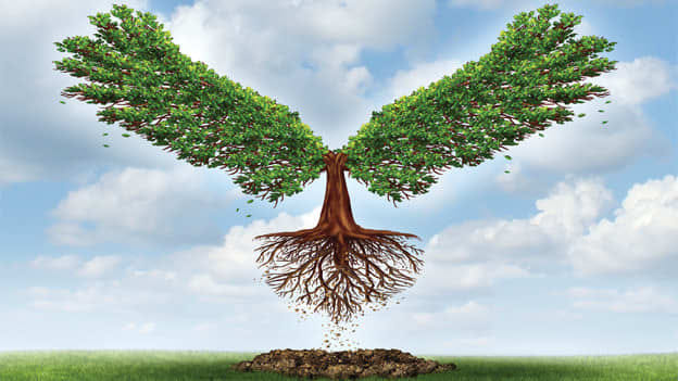 Article cover image