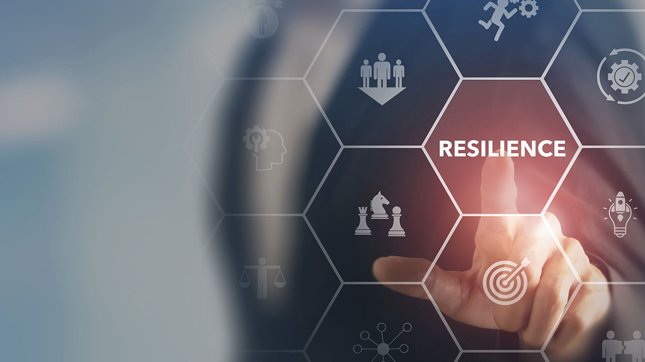 The art of building resilience