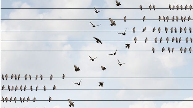 Article cover image