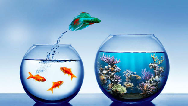 Article cover image