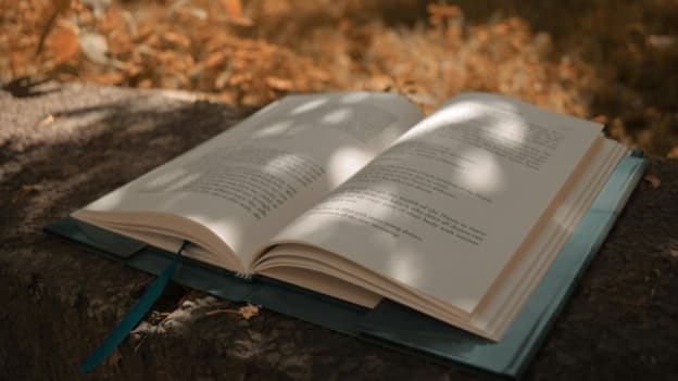 The HR leader’s reading list: Essential books to transform employee experience