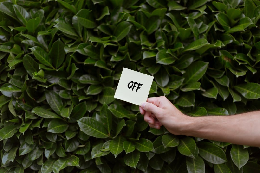Does unlimited PTO actually work?