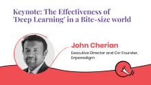 The Effectiveness of 'Deep Learning' in a Bite-size world