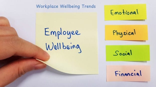 Beyond the Paycheck: Looking at Workplace Wellbeing in 2024